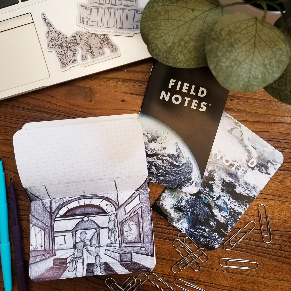 Field Notes: Powers of Ten Memo Book 3-Pack