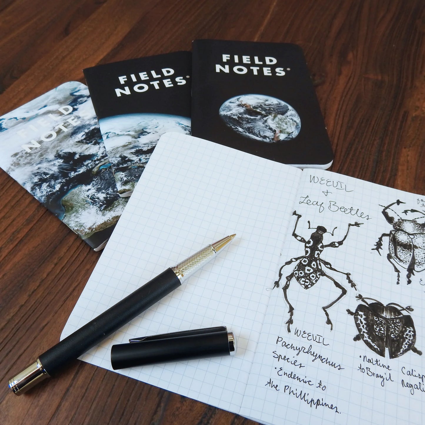 Field Notes: Powers of Ten Memo Book 3-Pack