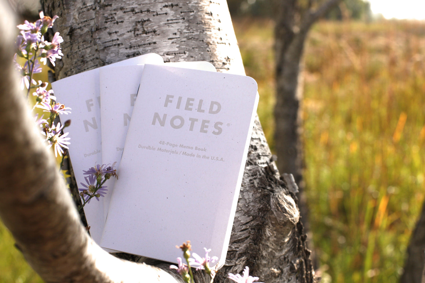 Field Notes: Birch Bark Memo Book - 3 Pack