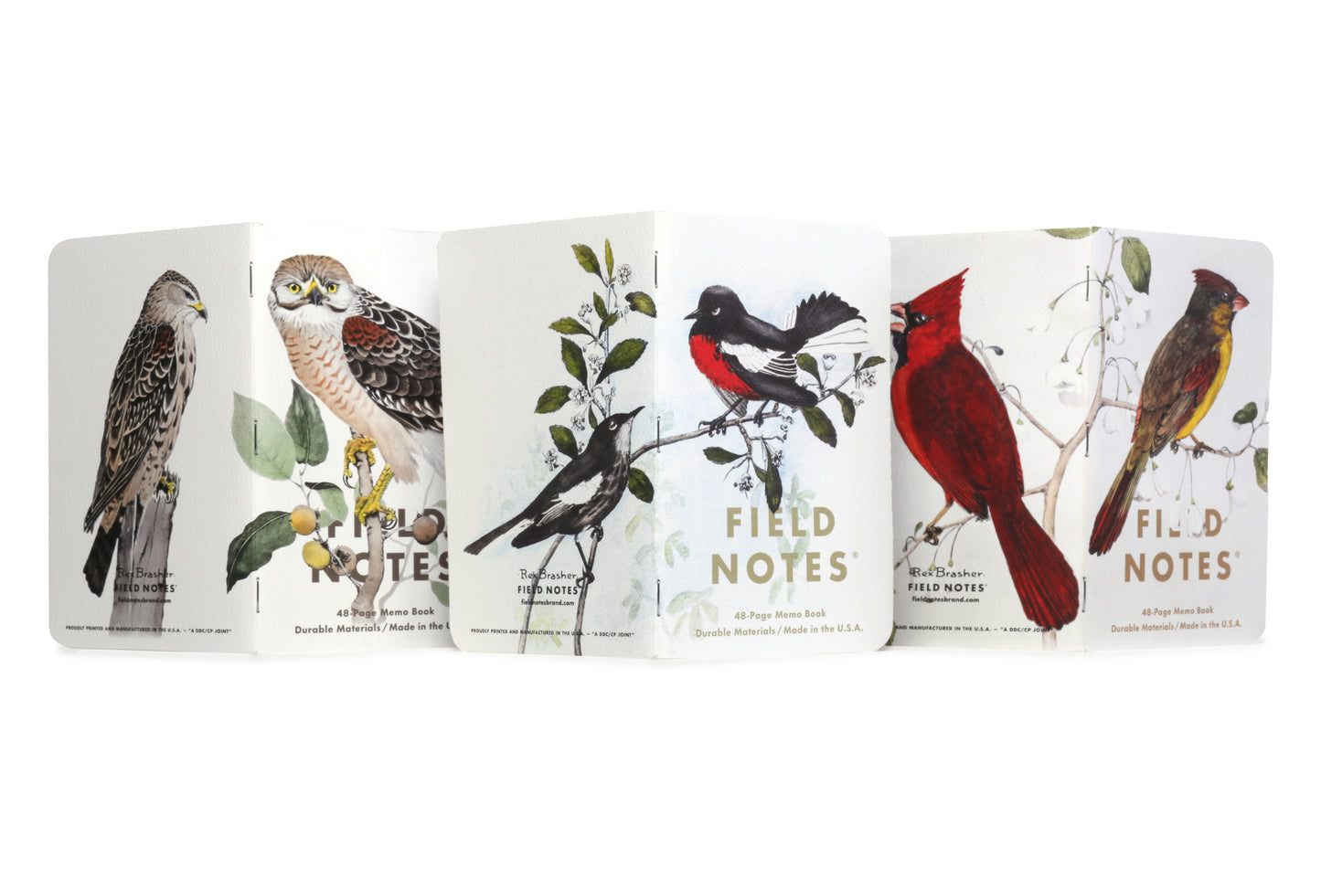 Field Notes: The Birds and Trees of North America Memo Book - 3 Pack
