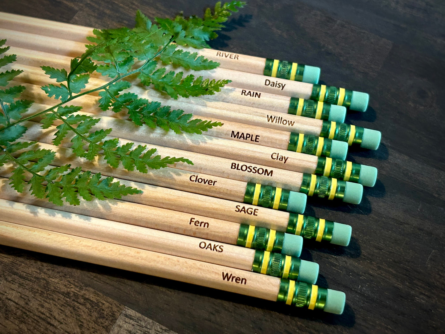 Custom Engraved Ticonderoga Envirostik Pencils - 12 Pack | Back to School Student Gift